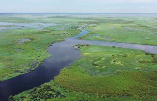 Chobe River Aerial