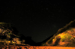Stars