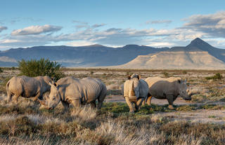 Experience stunning scenery on the Plains of Camdeboo