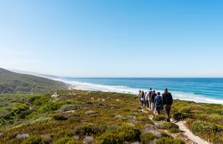 Fynbos Walk