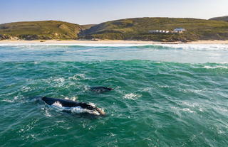 Lekkerwater Beach Lodge at De Hoop Reserve near Cape Town