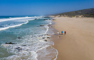 Lekkerwater Lodge - beach walks