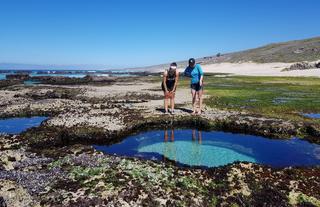 Lekkerwater Beach Lodge at De Hoop Reserve near Cape Town