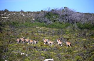 Lekkerwater Beach Lodge at De Hoop Reserve near Cape Town