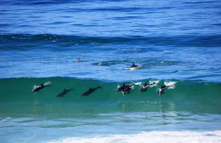 Lekkerwater Beach Lodge at De Hoop Reserve near Cape Town