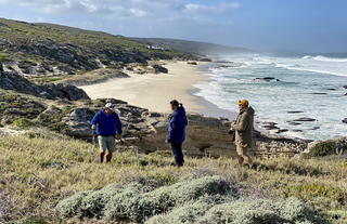 Lekkerwater Lodge - fynbos walk