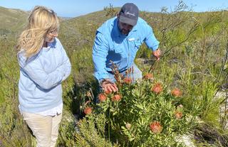 Lekkerwater Beach Lodge at De Hoop Reserve near Cape Town