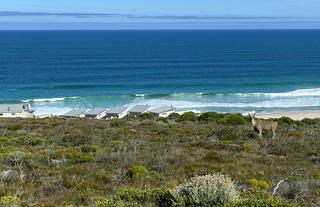 Lekkerwater Beach Lodge at De Hoop Reserve near Cape Town