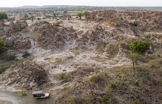 Tuli landscape