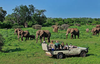 Game drive