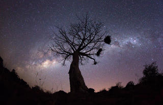 Nightsky