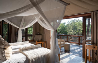 Luxury tented suite with bush views