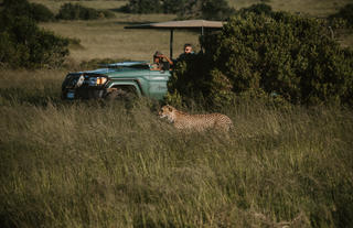 Amakhala Game Reserve 