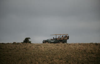 Amakhala Game Reserve 