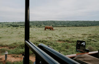 Amakhala Game Reserve 