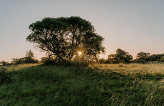 Amakhala Game Reserve 