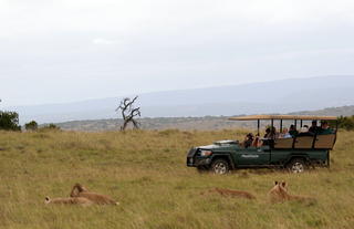 Amakhala Game Reserve 