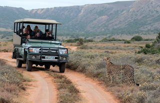 Amakhala Game Reserve 