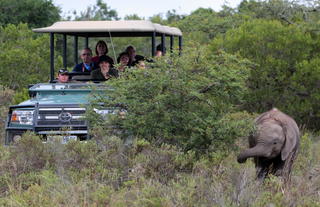 Amakhala Game Reserve 