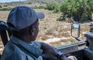 Amakhala Game Reserve 