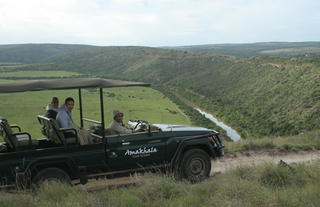 Amakhala Game Reserve Guests on Safari