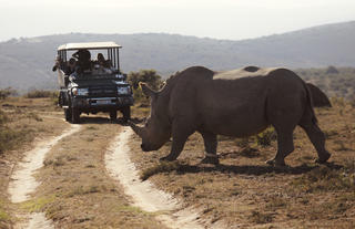 Amakhala Game Reserve 