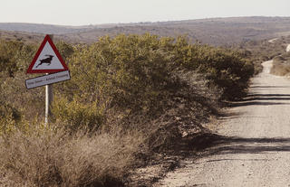 Amakhala Game Reserve 