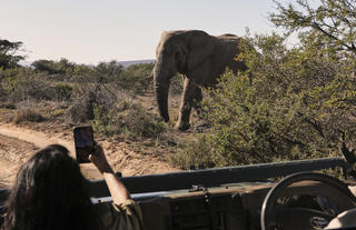 Amakhala Game Reserve 