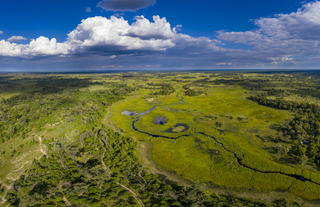 Khwai Private Reserve, Okavango Delta and  Little Sable camp 