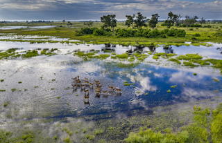 Little Sable Camp, Khwai Private Reserve, Okavango Delta 