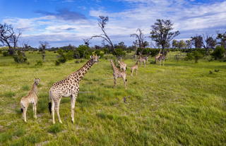 Little Sable Camp, Khwai Private Reserve, Okavango Delta 