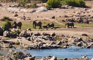 Mjejane River Lodge