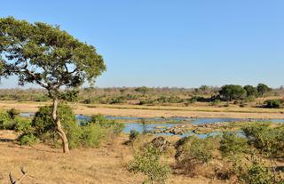 Mjejane River Lodge