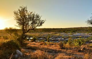 Mjejane River Lodge