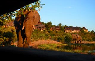 View from the Siduli Hide