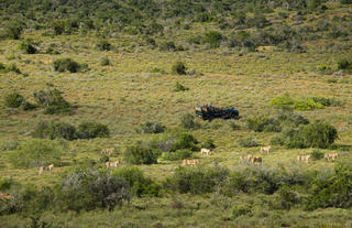 Great Fish River Lodge