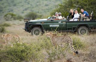 Great Fish River Lodge