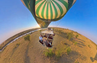 Safari from the Sky