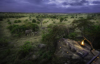 Embers and Elephants