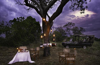 Bush Dinner