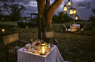 Dining in the heart of the wild