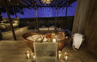 Bathed in Love and Starlight