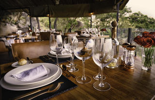 Dinner in the Heart of Nature
