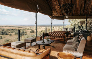 Where Comfort Meets the Wild"
