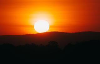 Nature’s Fiery Farewell