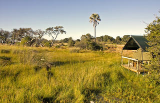 Exterior view of tent