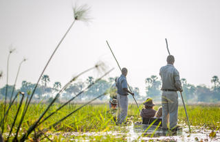 Oddballs' Enclave Mokoro