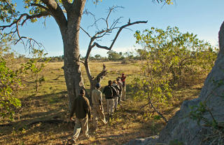 Bush walks