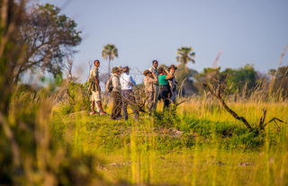 Oddballs' Camp Walking Safari