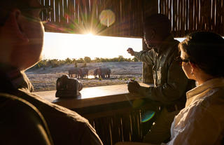 Savute Safari Lodge Photographic Hide